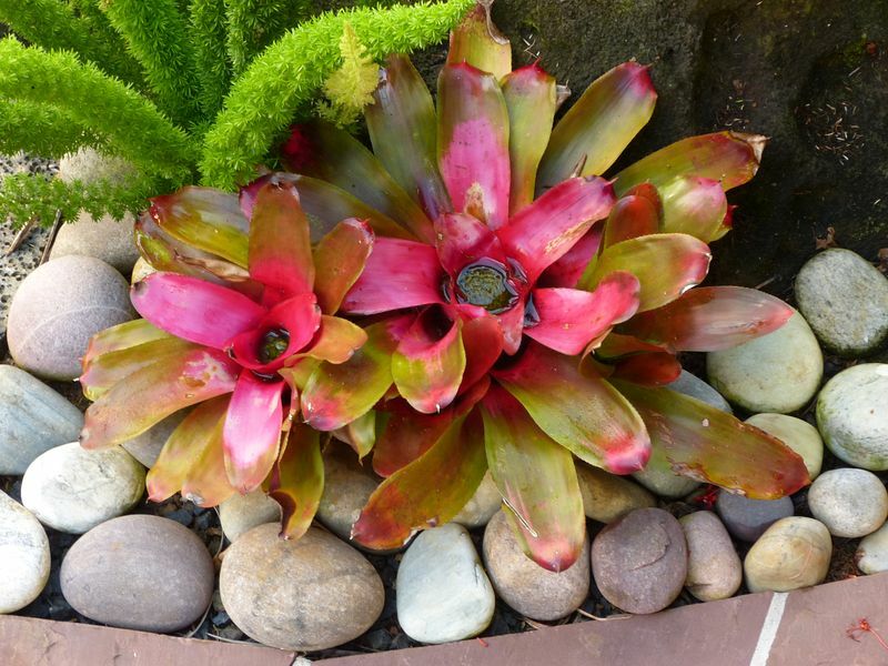 Click to See Next Image