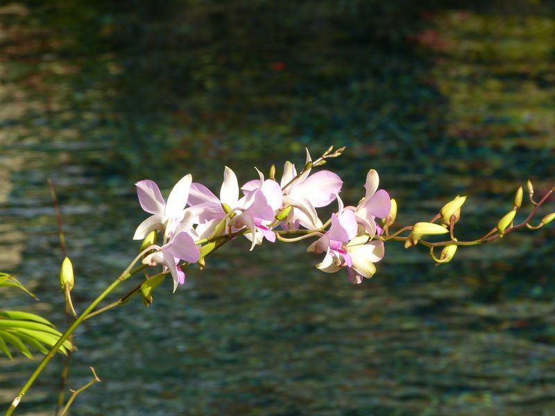 Click to See Next Image