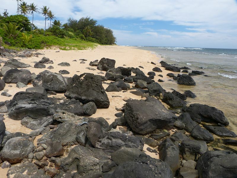 Click to See Next Image