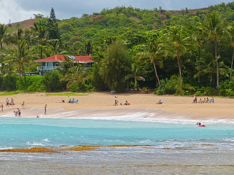 Click to See Next Image