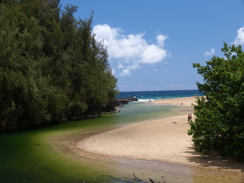 Click to See Next Image