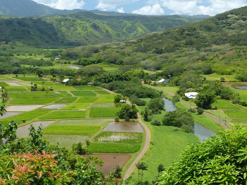 Click to See Next Image