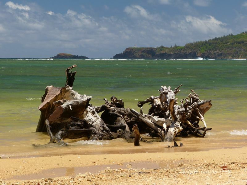 Click to See Next Image