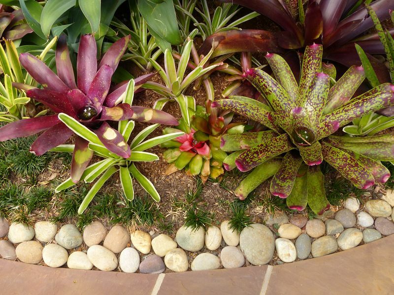 Click to See Next Image