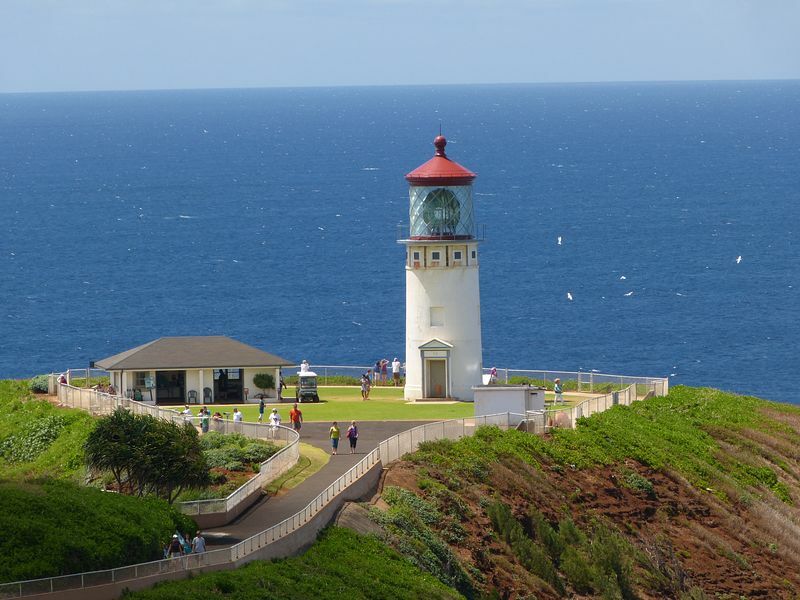 Click to See Next Image