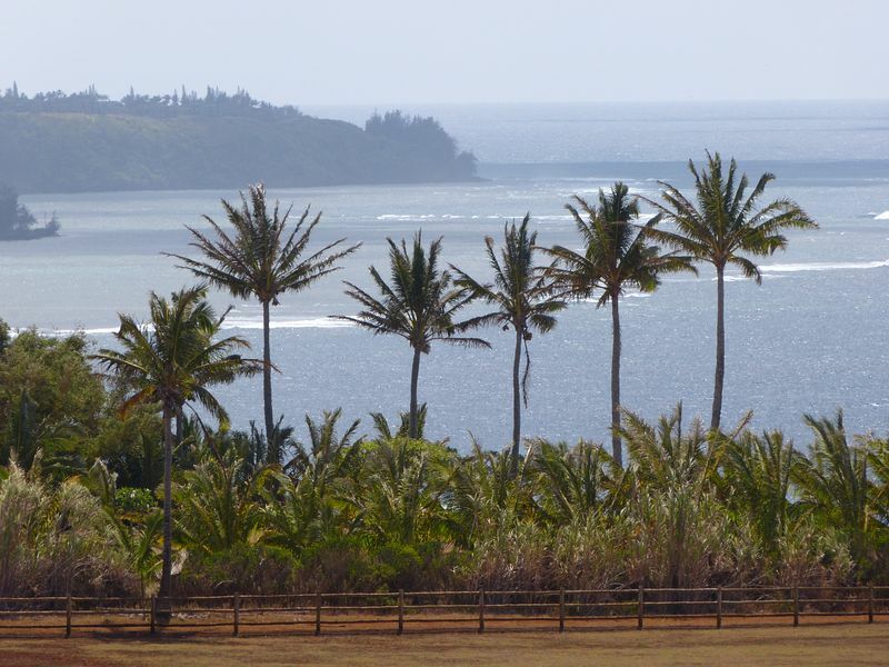 Click to See Next Image