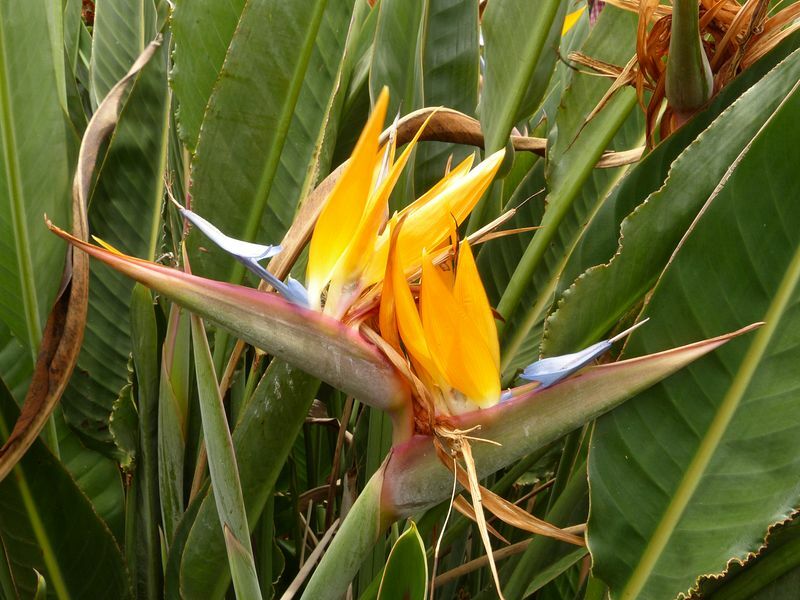 Click to See Next Image