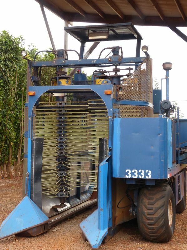 Click to See Next Image