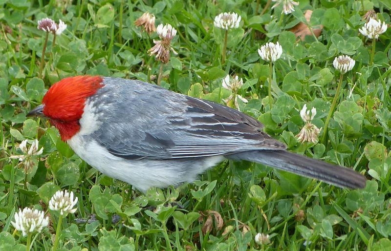 Click to See Next Image