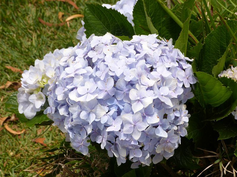 Click to See Next Image