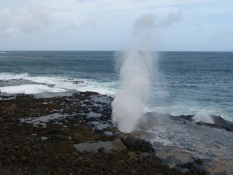 Click to See Next Image