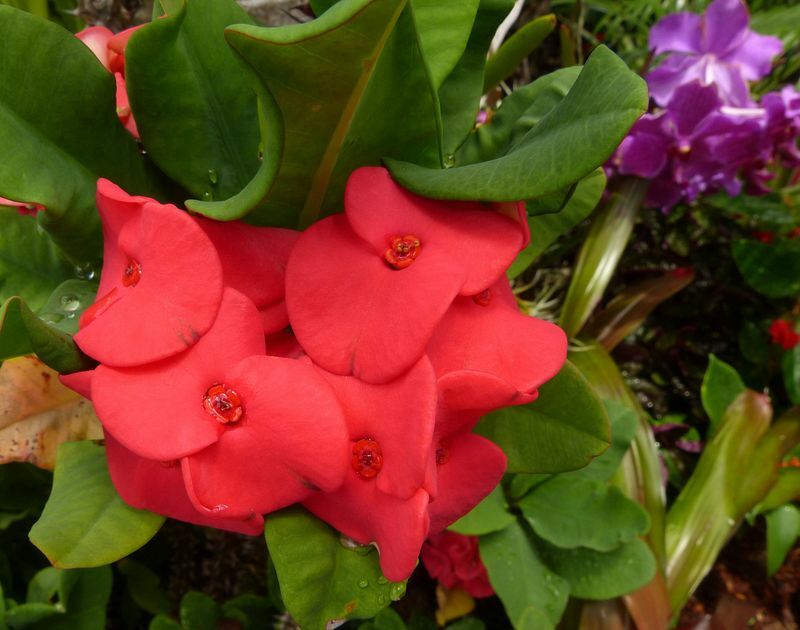 Click to See Next Image