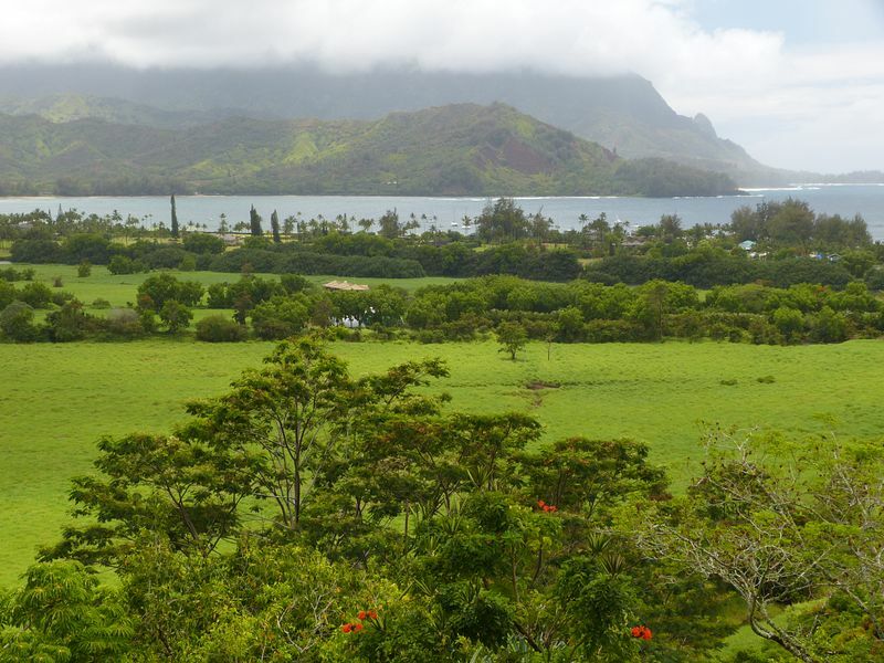 Click to See Next Image