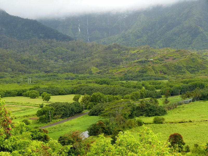 Click to See Next Image