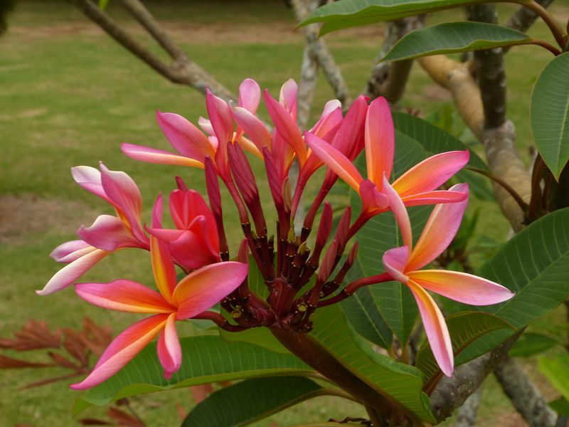 Click to See Next Image