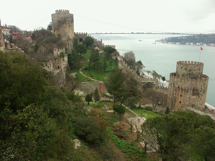 Click to See Next Image