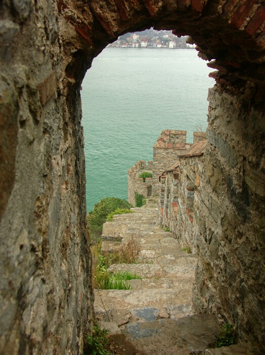 Click to See Next Image