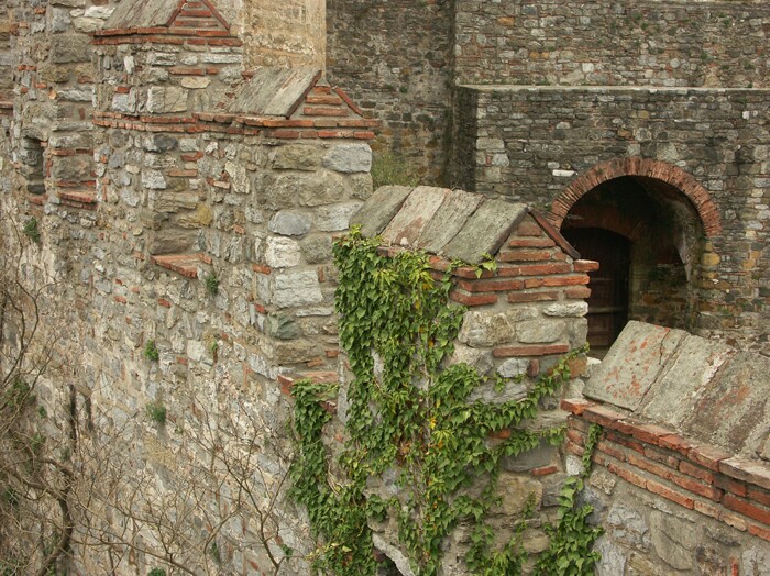 Click to See Next Image