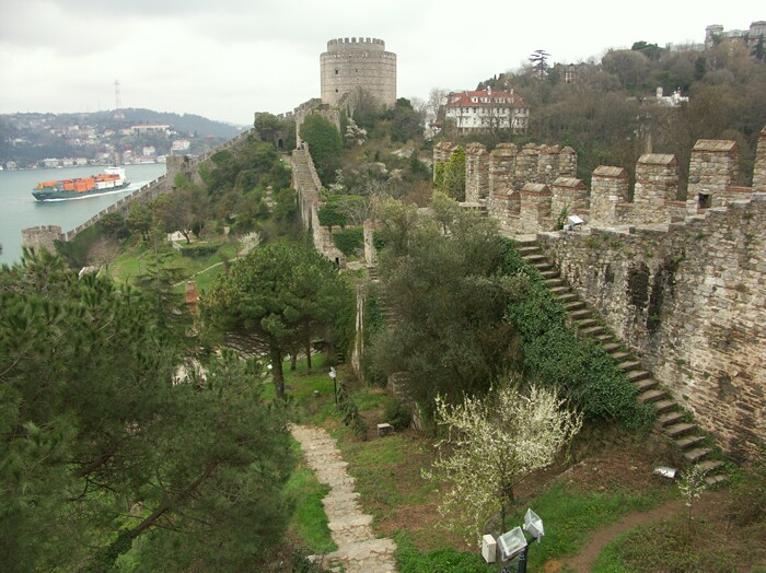 Click to See Next Image