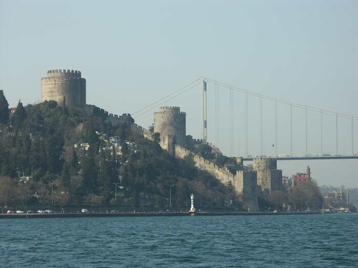 Click to See Next Image