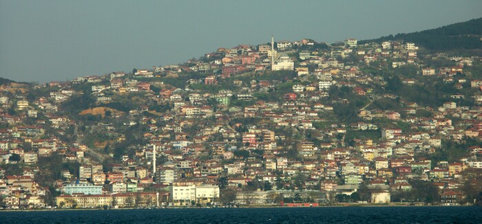 Click to See Next Image