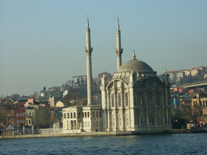 Click to See Next Image