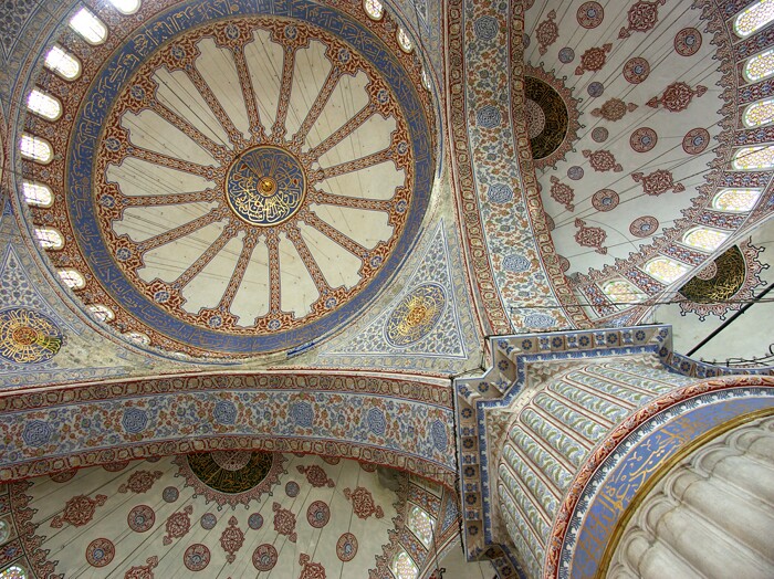 Click to See Next Image