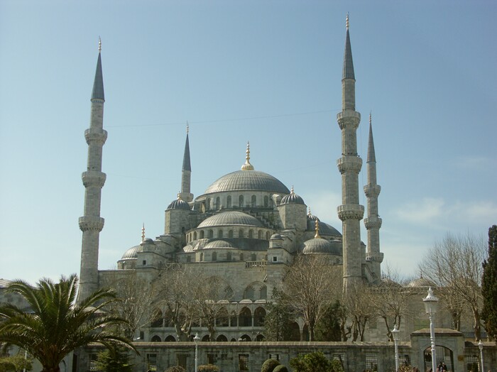 Click to See Next Image