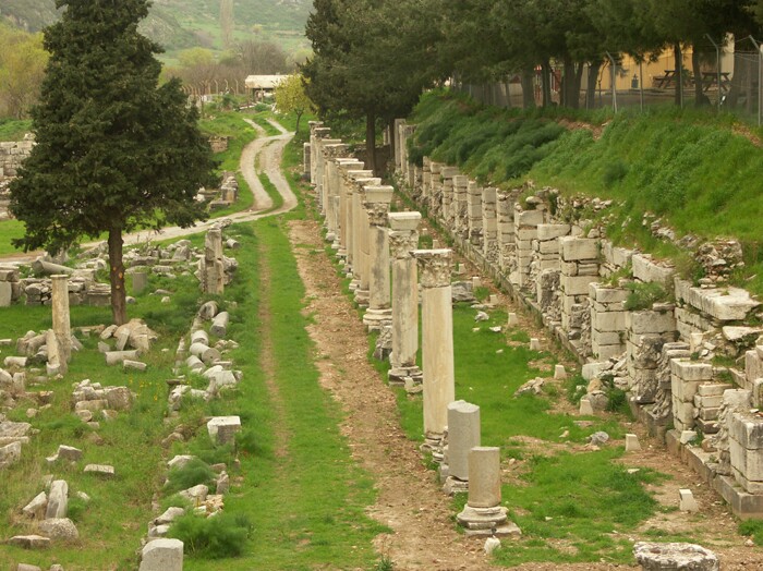 Click to See Next Image