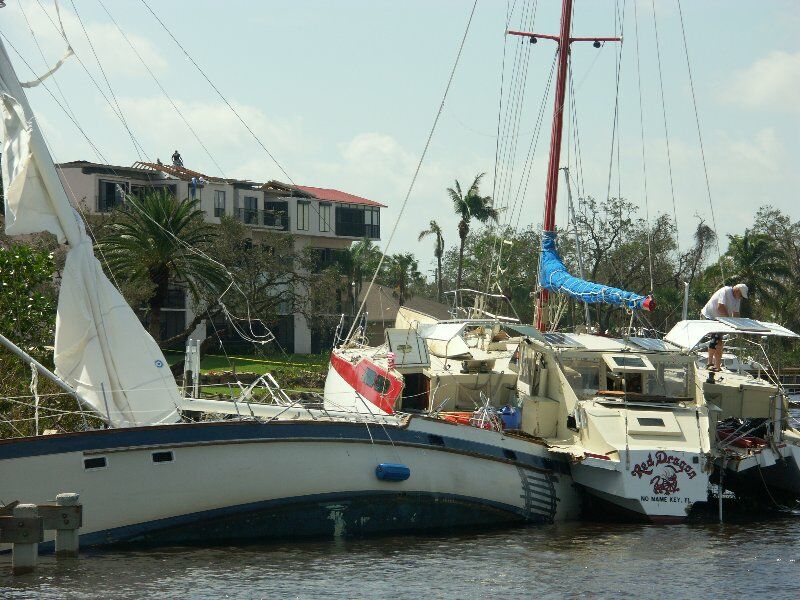 Click to See Next Image