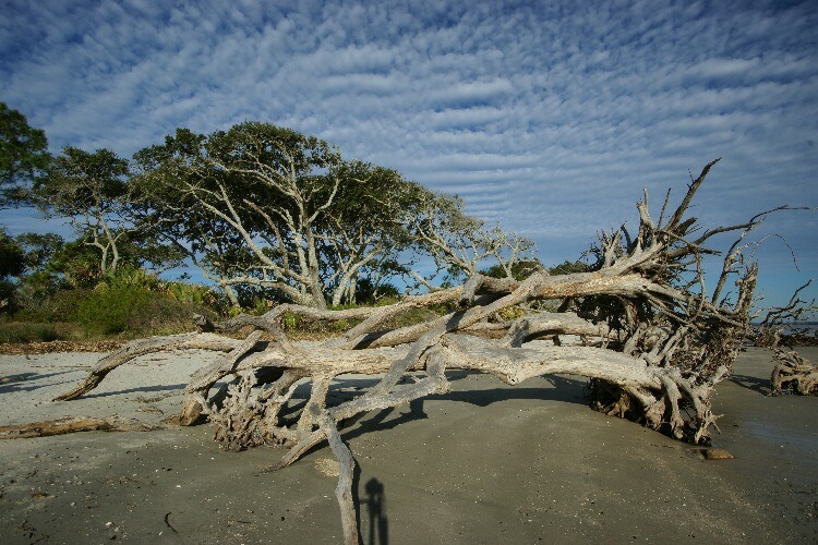 Click to See Next Image