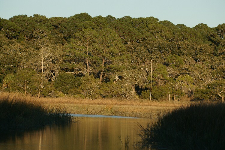 Click to See Next Image