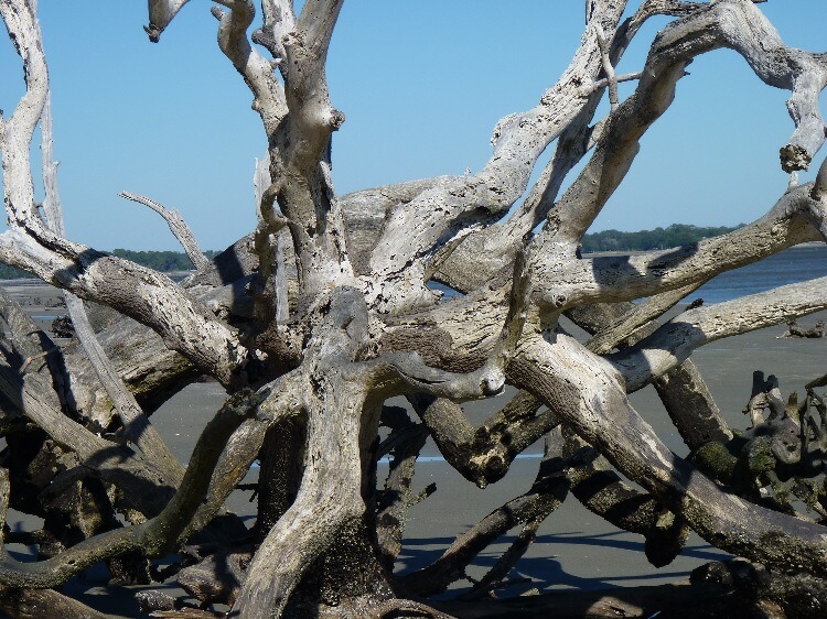 Click to See Next Image