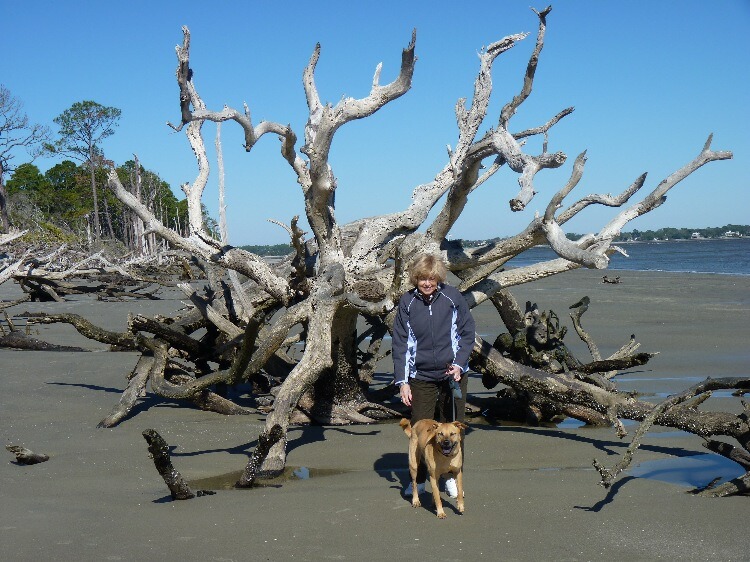 Click to See Next Image