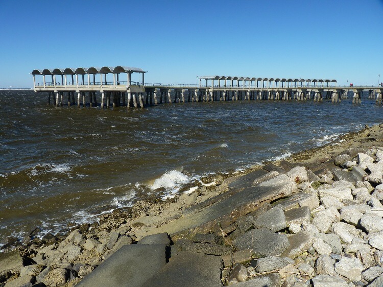 Click to See Next Image