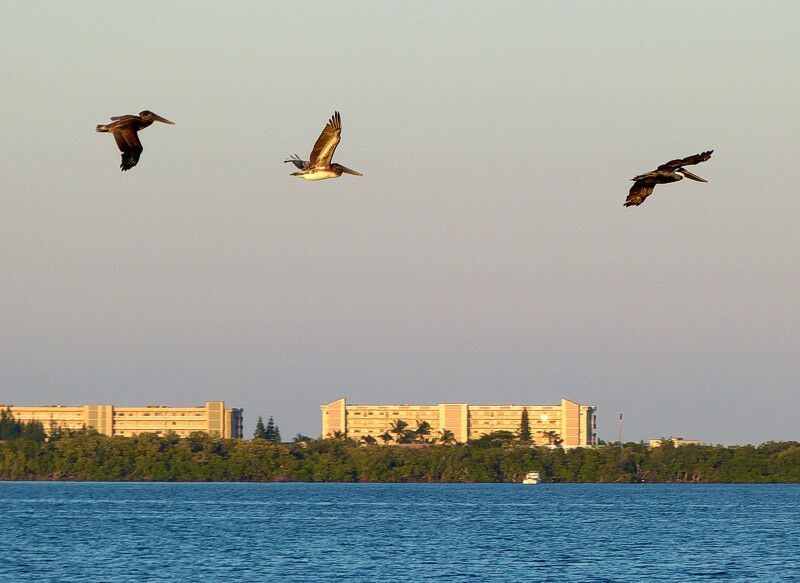 Click to See Next Image