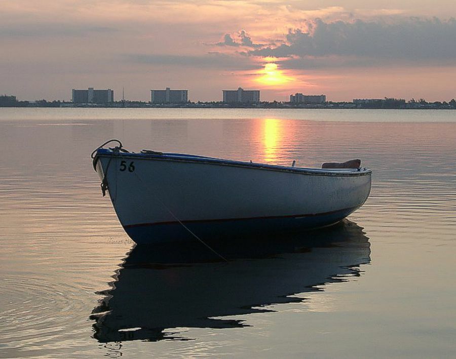 Click to See Next Image