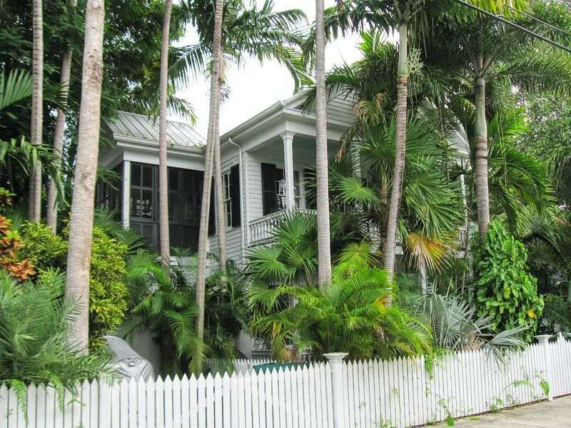 Click to See Next Image