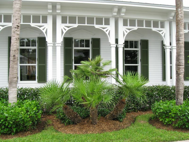 Click to See Next Image