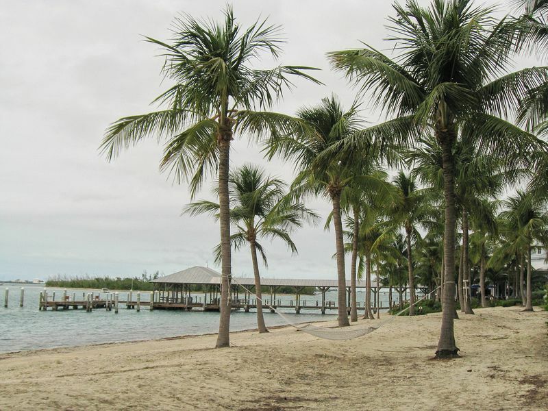 Click to See Next Image