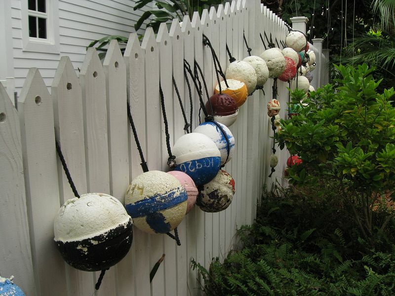 Click to See Next Image