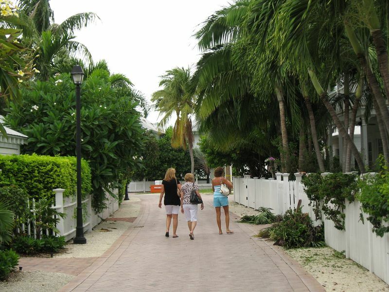 Click to See Next Image