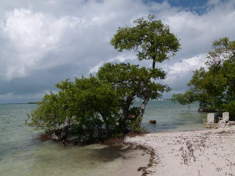 Click to See Next Image