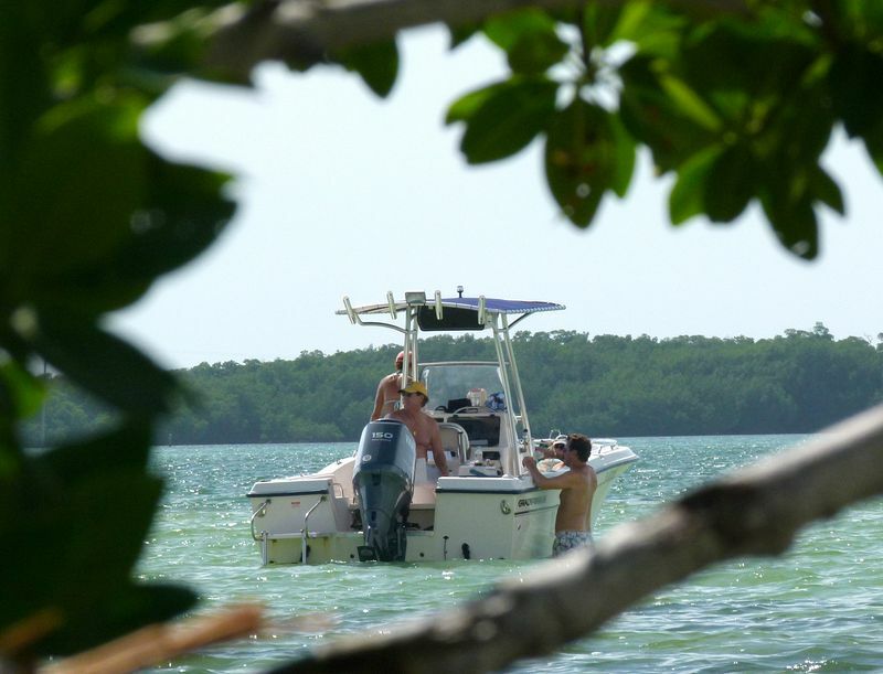 Click to See Next Image