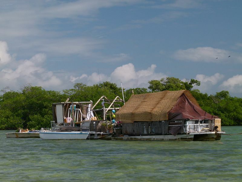 Click to See Next Image