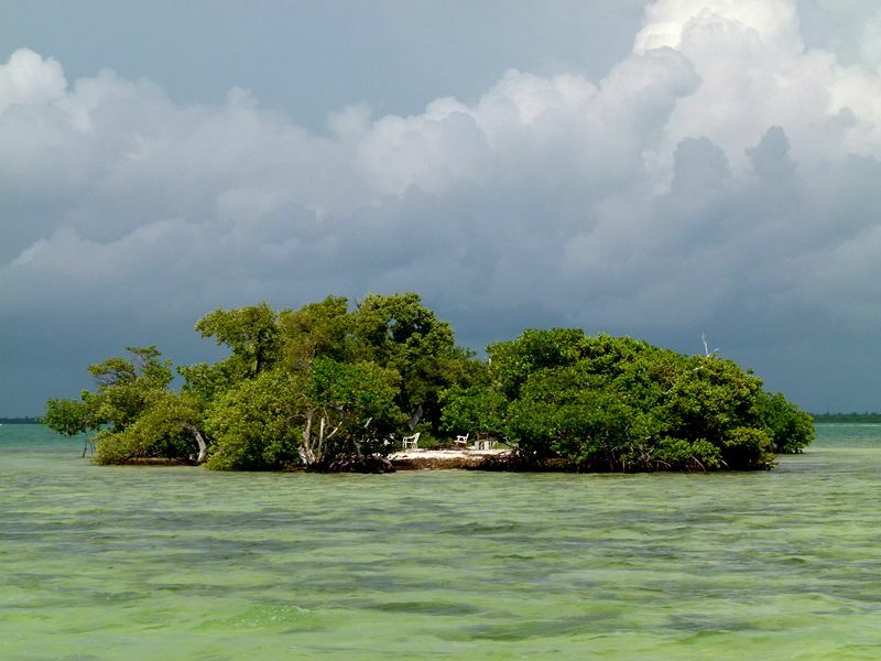 Click to See Next Image