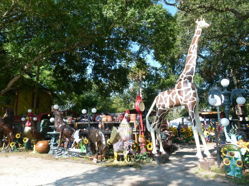 Click to See Next Image