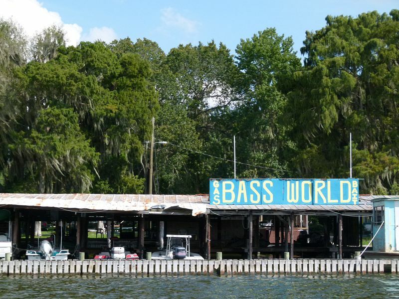 Click to See Next Image