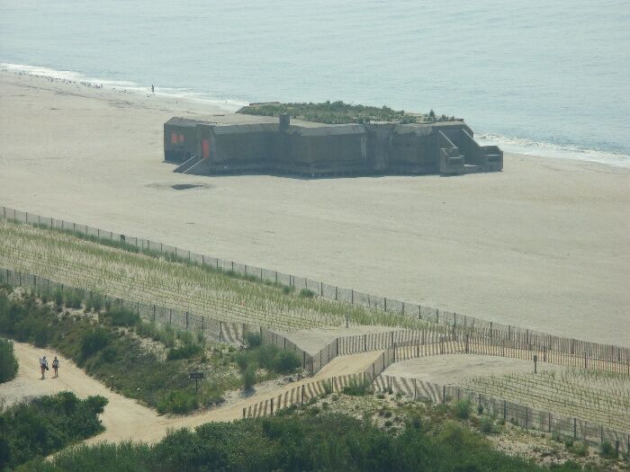 Click to See Next Image