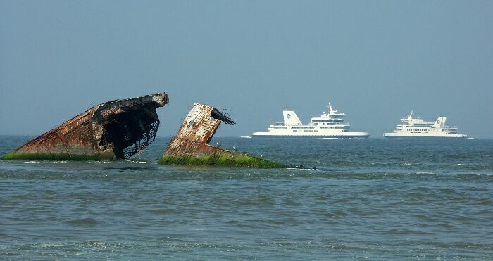 Click to See Next Image